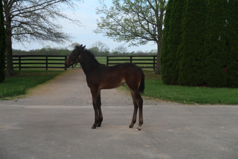 Father Patrick X R Luna