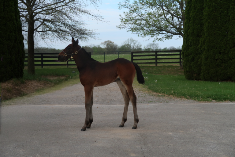 Chapter Seven X R Moni