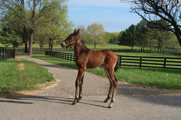 Chapter Seven X An Ocean Away