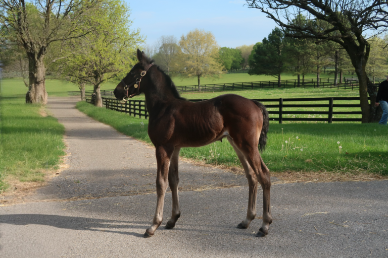 Chapter Seven X Climb The Pole