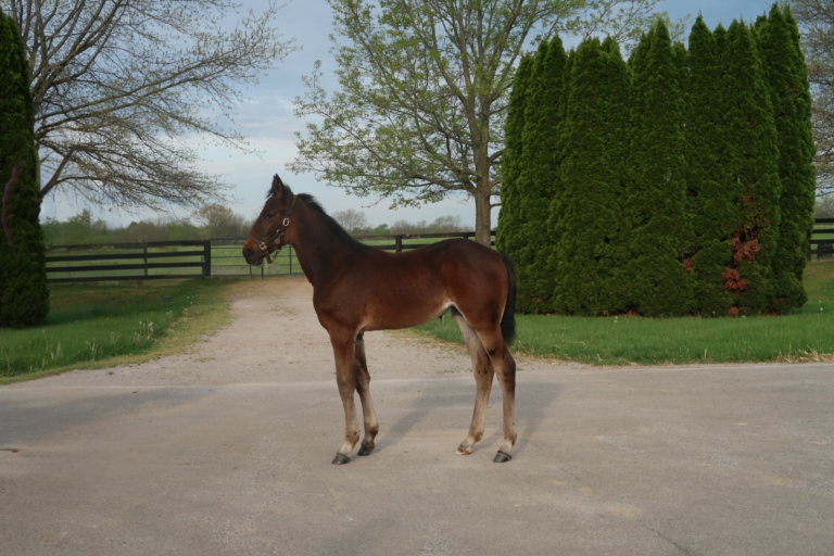 Father Patrick X Rosie Belle